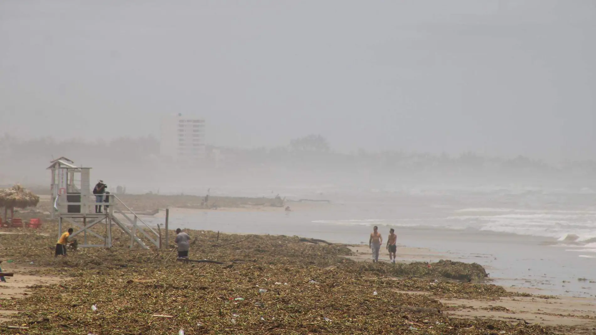 El lirio acuático una planta invasora 